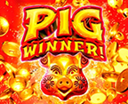 Pig Winner